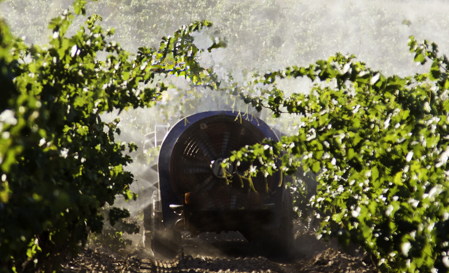 Pest control robots
