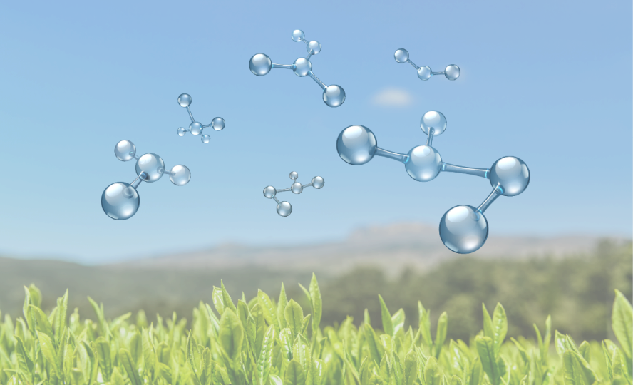 Identifying new materials and ingredients